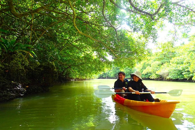 Okinawa Ishigaki Mangrove SUP or Canoe Tour - Why the Miyara River mangroves feel so calm