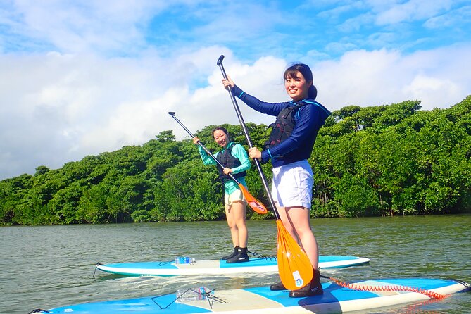 Okinawa Ishigaki Mangrove SUP or Canoe Tour - Meeting at Ishigaki Terminal, pickup, and getting there on time