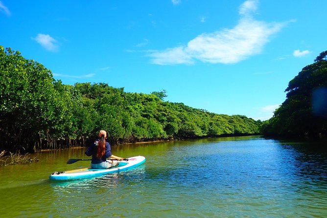 Okinawa Ishigaki Mangrove SUP or Canoe Tour - On the water: how stop 1 in Hirugi Grove works