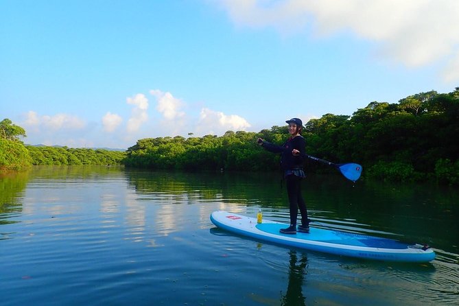 Okinawa Ishigaki Mangrove SUP or Canoe Tour - Stop 2 near Ishigaki-jima: what changes after you settle in