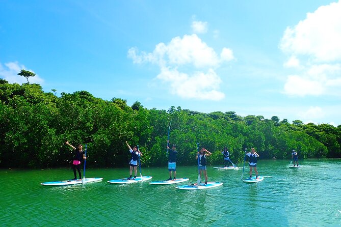 Okinawa Ishigaki Mangrove SUP or Canoe Tour - Guide skills, photos after, and why language support matters