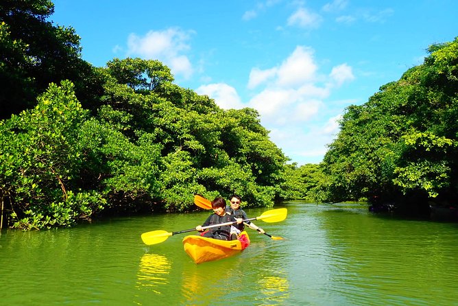 Okinawa Ishigaki Mangrove SUP or Canoe Tour - Showers, wet gear, and staying comfortable after 90 minutes