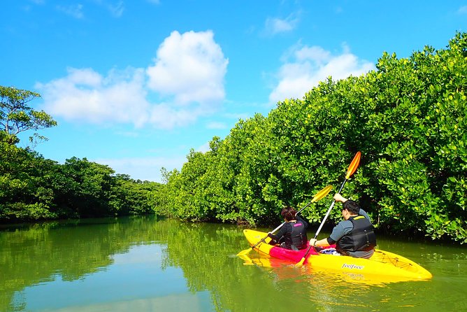 Okinawa Ishigaki Mangrove SUP or Canoe Tour - Price and value for a guided SUP or canoe hour and a half
