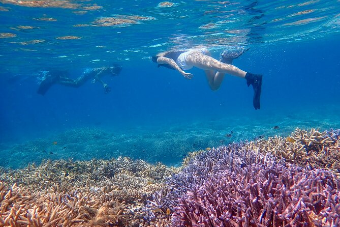 Okinawa Ishigaki Phantom Island Snorkeling Tour - Stop 1: Ishigaki-jima and the Setup Before You Snorkel