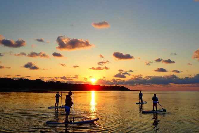 Okinawa Ishigaki Sunrise SUP or Canoe Tour - Miyara River Hirugi Grove: what the mangrove paddle feels like