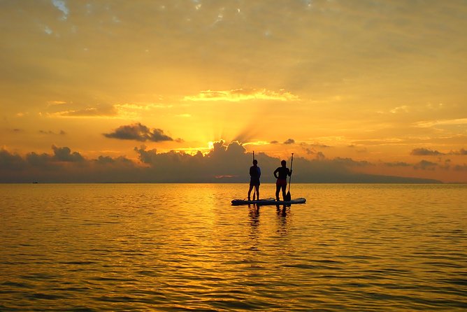Okinawa Ishigaki Sunset SUP or Canoe Tour - Stop 1: Miyara River Hirugi Grove, where the calm begins