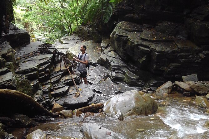 Okinawa Jungle Trails & Waterfalls – Private Yanbaru Tour - Key highlights before you go