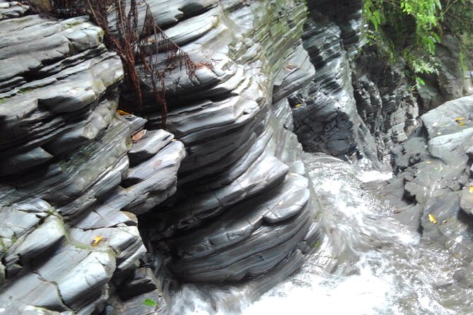 Okinawa Jungle Trails & Waterfalls – Private Yanbaru Tour - Terrain and difficulty: choosing the right day for your legs