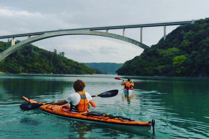 Okinawa: Kayak Mangroves & Ocean Native-English Private Tour - Key things to know before you paddle in north Okinawa