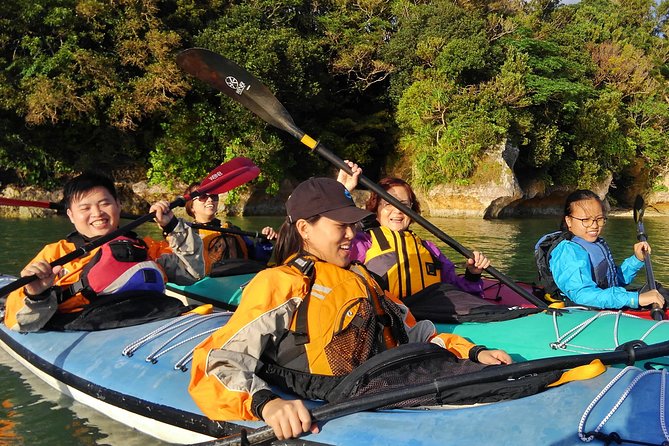 Okinawa: Kayak Mangroves & Ocean Native-English Private Tour - North Okinawa by kayak: why the water feels different