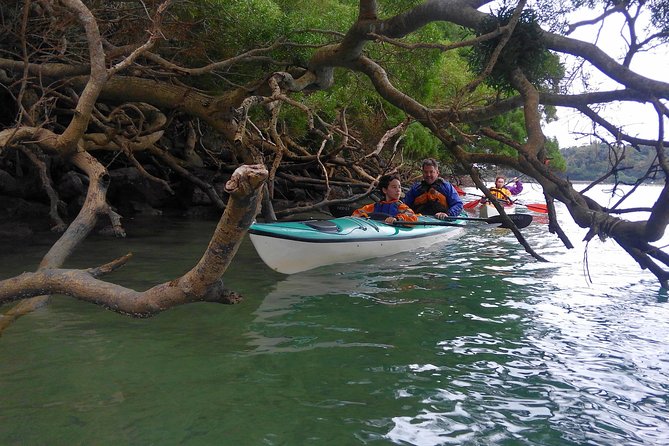 Okinawa: Kayak Mangroves & Ocean Native-English Private Tour - Kouri Ohashi tea stop: the break that actually helps you paddle better