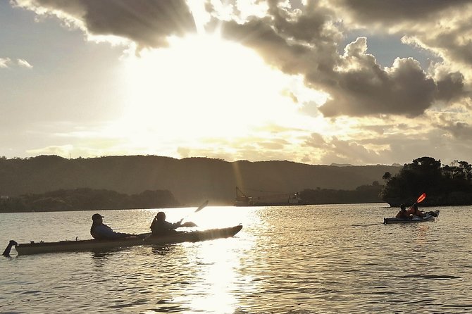 Okinawa: Kayak Mangroves & Ocean Native-English Private Tour - Nakijin-son: reef crossing and a golden-sand landing moment