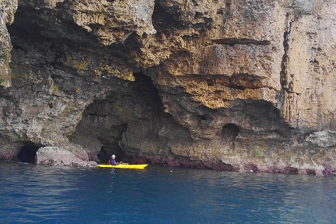 Okinawa: Kayak Mangroves & Ocean Native-English Private Tour - Price and value: $79.26 for a private 2 to 3 hour paddle