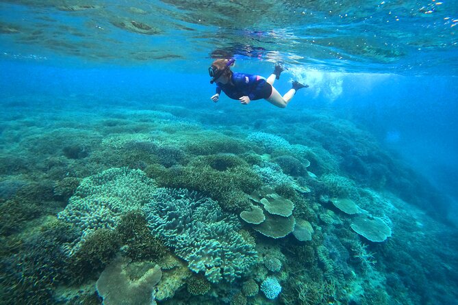 Okinawa: Kayak & Snorkel, Private Tour in Yanbaru - Stop 2 in Motobu-cho: the snorkel that matches your comfort level