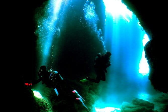 Okinawa:Kerama Islands experience Diving/Snorkeling/WhaleWatching - Getting on board: pickup, mobile ticket, and the early start