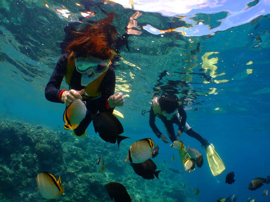 Okinawa : Kerama Whole Day Snorkeling Tour From Chatan/Naha - Your Underwater Stops: What You’re Likely to See at Each Point