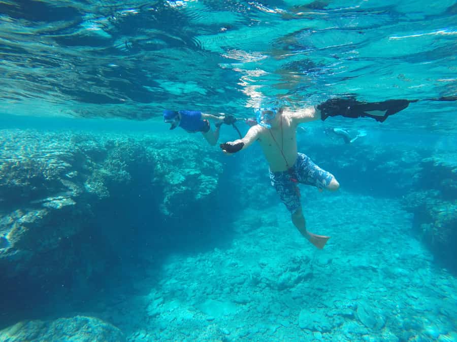 Okinawa : Kerama Whole Day Snorkeling Tour From Chatan/Naha - Gear and Inclusions: Why This Price Can Feel Fair