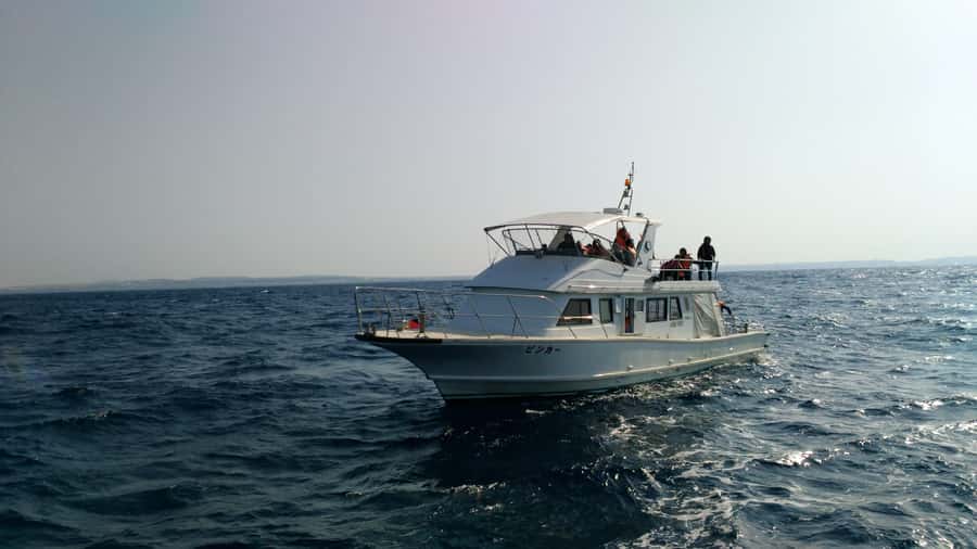 Okinawa : Kerama Whole Day Snorkeling Tour From Chatan/Naha - Photo and Video, What to Expect (and What Not to Assume)
