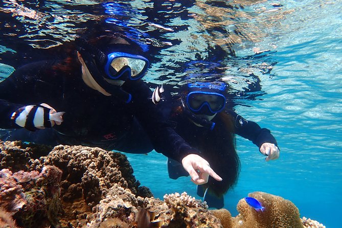 Okinawa Miyako 3set Beach SUP, Snorkeling,Pumpkin Cave,Canoeing - Lunch break around 12:30, then back out for canoe to the cave area