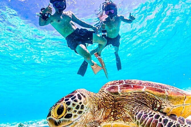 Okinawa Miyako Sea turtle Snorkeling Free Pick up and Drop off - Key highlights at a glance