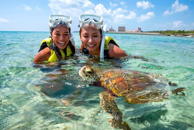 Okinawa Miyako Sea turtle Snorkeling Free Pick up and Drop off - Free SNS photos and video data, how to use it