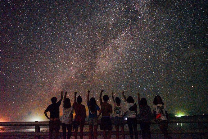 Okinawa Miyako Star Gazing & Subtropical Jungle Night Tour - Key things to know before you go