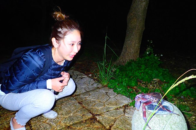 Okinawa Miyako Star Gazing & Subtropical Jungle Night Tour - How the timing really plays out on Miyakojima evenings