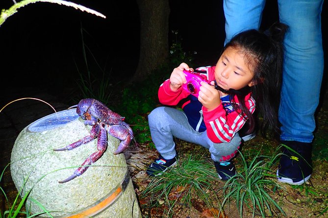 Okinawa Miyako Star Gazing & Subtropical Jungle Night Tour - Price and value: is $32.37 worth it?