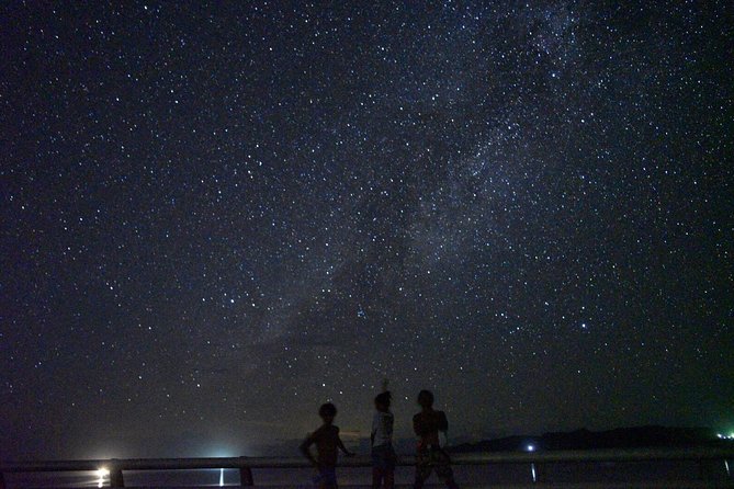 Okinawa Miyako Star Gazing & Subtropical Jungle Night Tour - Meeting at Kurimajima Center, then stepping into the dark