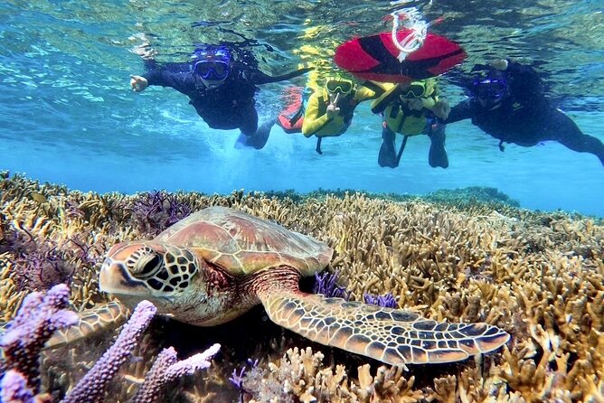 Okinawa Miyakojima 1 day Sea Turtle Snorkeling & Pumpkin Cave & Sea Kayak - Canoeing to Pumpkin Hall: the road to Ryugu-jo