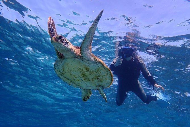 Okinawa Miyakojima 1 day Sea Turtle Snorkeling & Pumpkin Cave & Sea Kayak - The photo data gift: your waterproof memory without the hassle