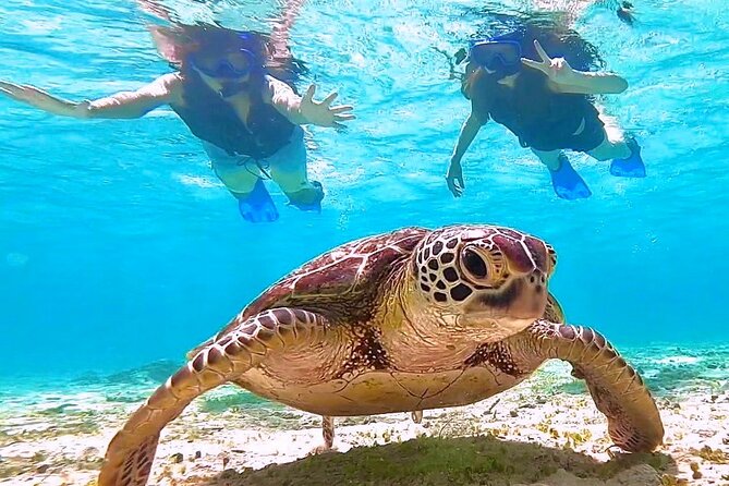 Okinawa Miyakojima 1 day Sea Turtle Snorkeling & Pumpkin Cave & Sea Kayak - Meeting point, group size, and day-of pacing