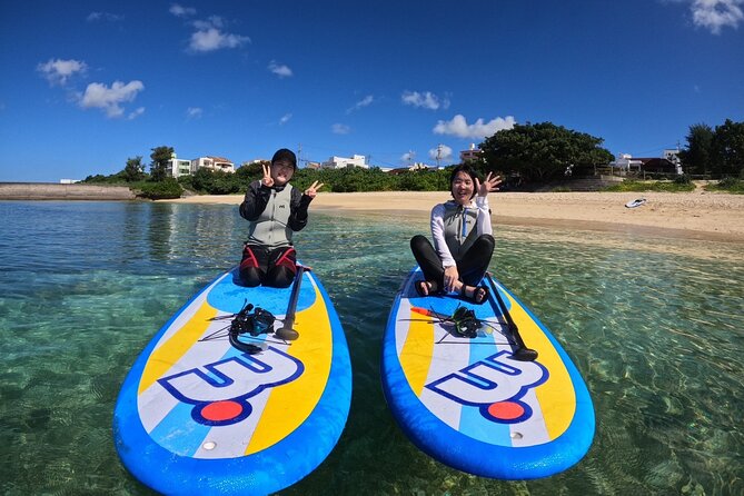 Okinawa West Coast 3-Hour Paddle-boarding adventures - Key highlights worth planning around