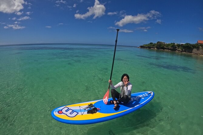 Okinawa West Coast 3-Hour Paddle-boarding adventures - What you will see: clear water, coast views, and a marine moment