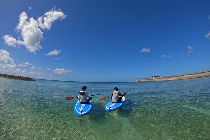 Okinawa West Coast 3-Hour Paddle-boarding adventures - Price and value: $85 for gear, instruction, and photos
