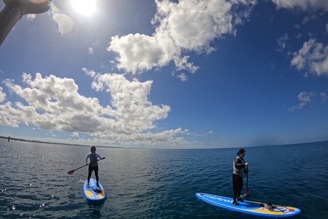 Okinawa West Coast 3-Hour Paddle-boarding adventures - What to bring, what to wear, and how to avoid a soggy day