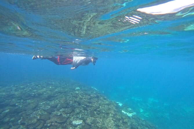 Okinawa West Coast 3-Hour Paddle-boarding adventures - The weather reality, and how to think about rain and cancellations