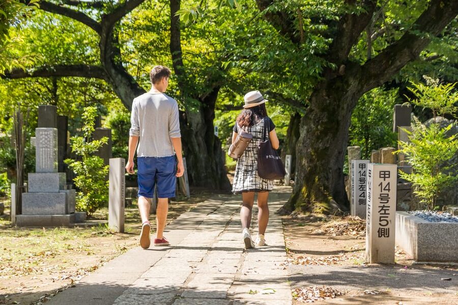 Old and Nostalgic Tokyo: Half-Day Yanaka Walking Tour - Price and value: what you’re paying for at $83