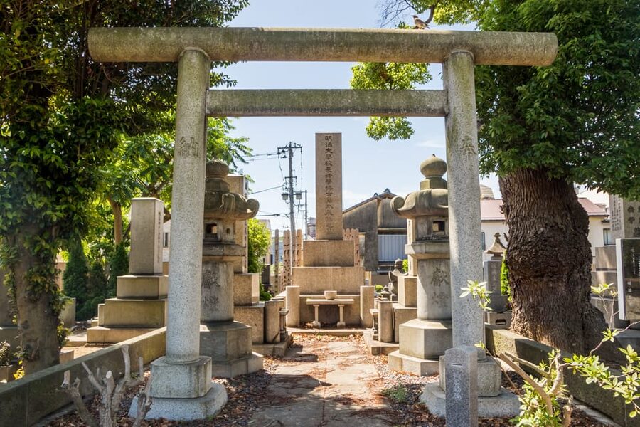Old and Nostalgic Tokyo: Half-Day Yanaka Walking Tour - Nezu Shrine: 1706 origins, then a moment for flowers and details