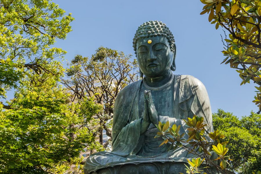 Old and Nostalgic Tokyo: Half-Day Yanaka Walking Tour - Yanaka-Ginza and snack time: where everyday Tokyo becomes the highlight