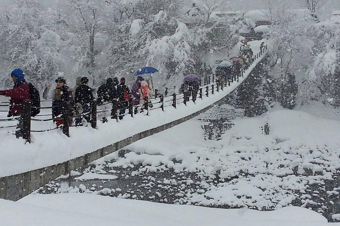 [One-day bus tour departing from Kanazawa Station] Shirakawa-go and Gokayama - Two World Heritage Villages Enjoyable Bus Tour - The bus ride reality: long travel, but comfort and clear pacing