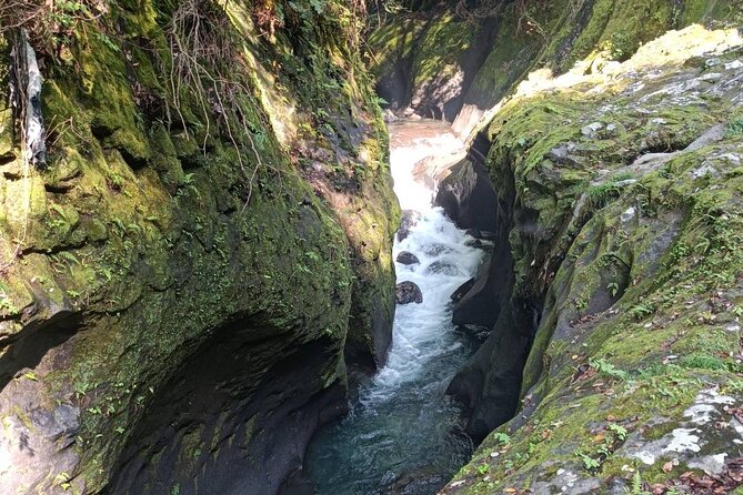 One-Day Customized Minami-Aso & Takachiho Tour - Price and value: what’s included, what you’ll likely pay extra