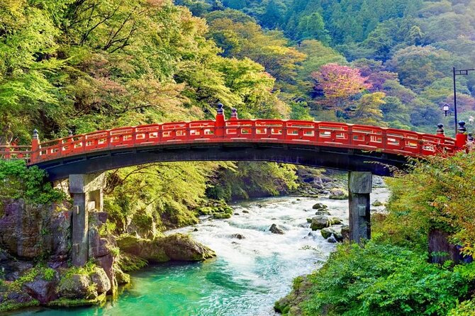 One Day Private Tour to Nikko With English Speaking Driver - Private Nikko Loop With a Driver, Not a Bus Schedule