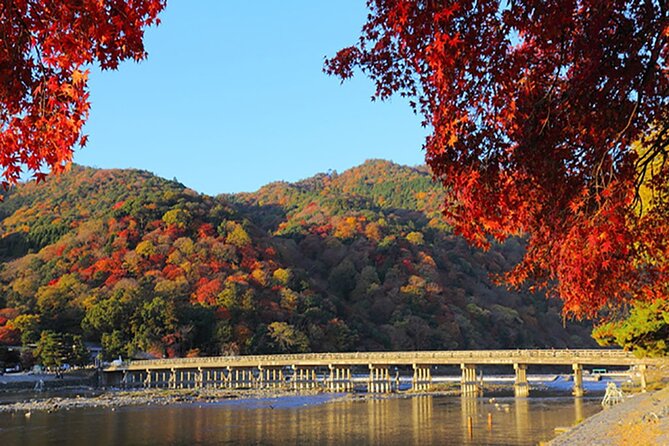 One-Day Tour of Kyoto's Highlights from Osaka/Kyoto - Stop 4: Arashiyama bamboo forest paths and Togetsukyo bridge