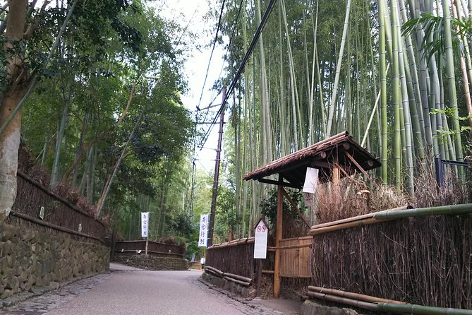 One-Day Walking Tour : Enjoy Kyoto to the fullest! - Gion Stroll: Where You Might See Geisha Walking to Work