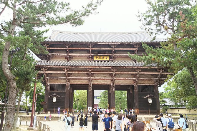 One-Day Walking Tour of Amazing 8th Century Capital Nara - Quick Take: What Makes This Nara Walking Day Work