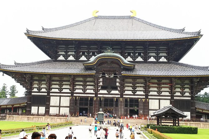 One-Day Walking Tour of Amazing 8th Century Capital Nara - Kasuga Grand Shrine: The Fujiwara Clan’s 8th-Century Legacy