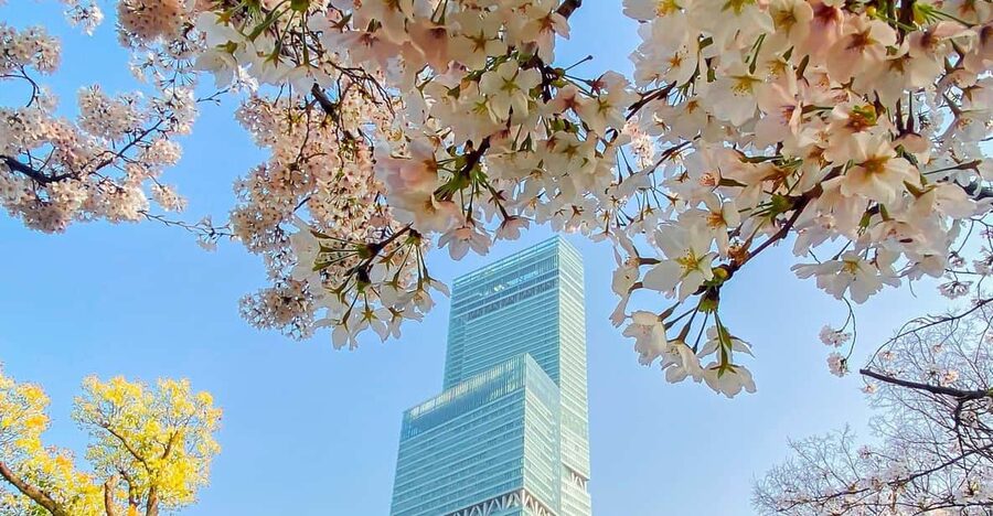 Osaka: Abeno Harukas 300 Observatory E-Ticket - The Art Museum on the 16th floor and the building’s indoor variety
