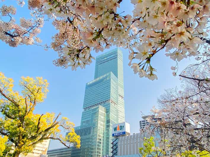 Osaka: Abeno Harukas 300 Observatory E-Ticket - The 60th-floor glass deck: the view moment