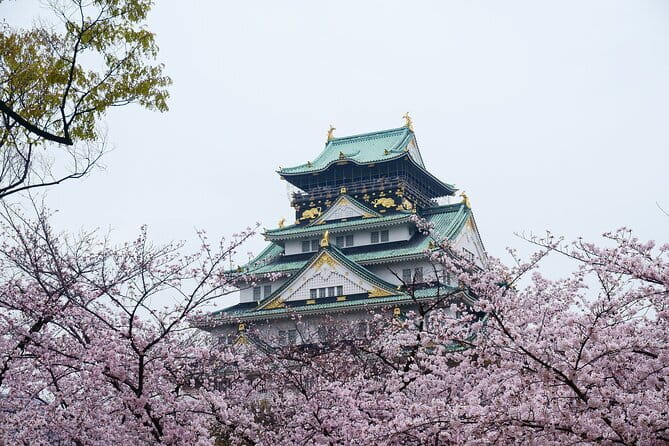 Osaka Castle & Samurai History Walking Tour - Key highlights I think you’ll care about